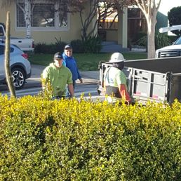 two men working in a residential area