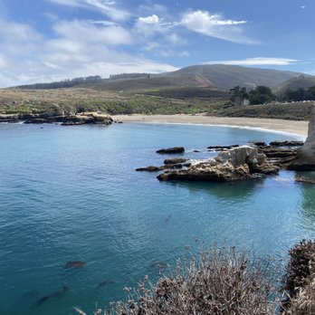 Bluff Trail at Montana De Oro - Bluff Trail - Hiking Near Me