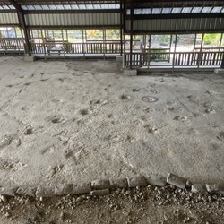 The Heritage Museum of Texas Hill Country - Dinosaur prints
