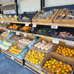 Tortilleria Leon