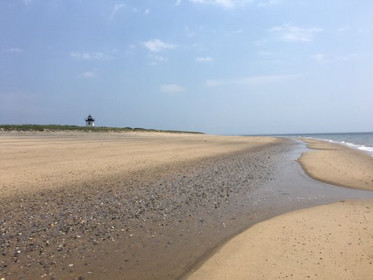 Long Point Beach by null