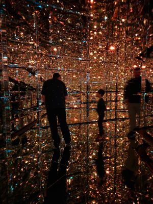 teamLab Borderless: MORI Building DIGITAL ART MUSEUM by null