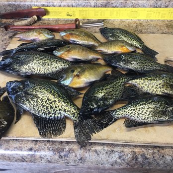 Maplewood Resort - First day catch! - Resorts Near Me - Eagle River, Wisconsin