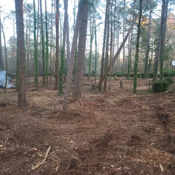 J W Earthworks - Tree Services Near Me - Bennettsville, South Carolina J W Earthworks - Tree Services Near Me - Bennettsville, South Carolina