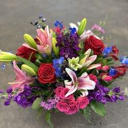 Thompson's Flower Shop - Cosmic Bloom