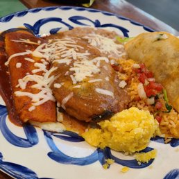 Carne Asada And Cheese Enchilada