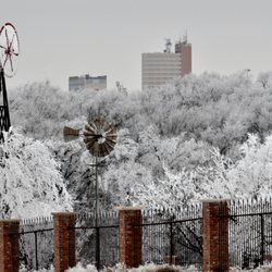 American Windmill Museum - Ice Storm in Lubbock, with Windmills.