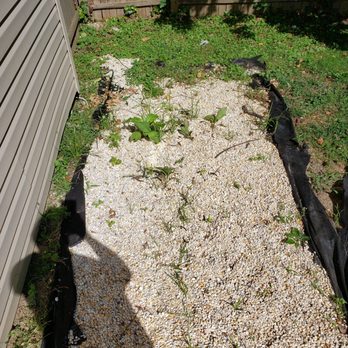 Jim Dunphy's Landscaping - Couldnt be bothered to weed whack for 2 weeks? ? But can on some of my property they could - Landscaping Near Me - Delran, New Jersey