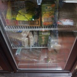 Frozen section
