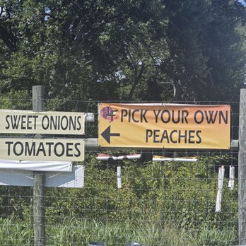 Larriland Farm - Fruits & Veggies Near Me - Woodbine, Maryland Larriland Farm - Fruits & Veggies Near Me - Woodbine, Maryland