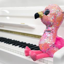 Maus Piano & Organ