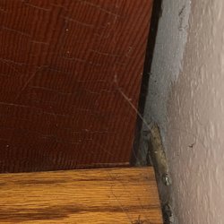 Dirt and spiderwebs between stairs and wall.