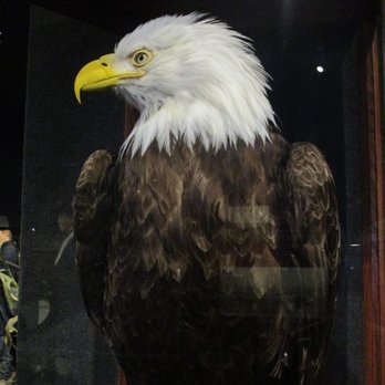Wisconsin Veterans Museum - Museums Near Me - Madison, Wisconsin