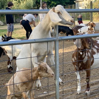 Aldor Acres - Farms Near Me - Langley, British Columbia