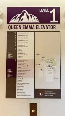 The Queen's Medical Center by null