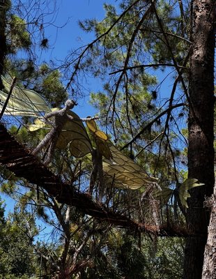 Port St. Lucie Botanical Gardens by null