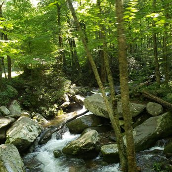 Roaring Fork Motor Nature Trail - Hiking Near Me