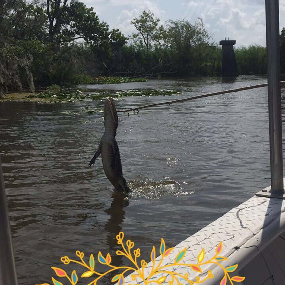 Swamp & River Tours - Boat Tours Near Me - Orange, Texas Swamp & River Tours - Boat Tours Near Me - Orange, Texas