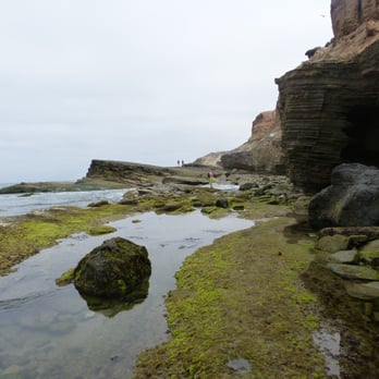 Point Loma Tide Pools - Beaches Near Me - San Diego, California
