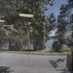 Lake Wales Public Library - View of lake Crystal from the shaded library windows.