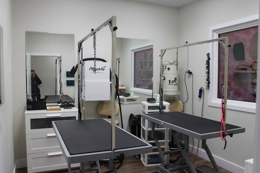 THE PET SPAW LOUNGE Updated September 2024 12 Photos 321