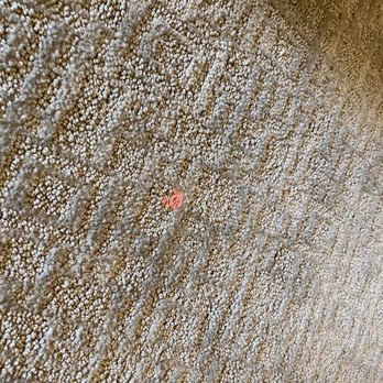 Torrey Gardens - Spots all over the supposed clean carpet. Which now their maintenance supervisor says it should have been replaced. - Apartments Near Me - San Diego, California