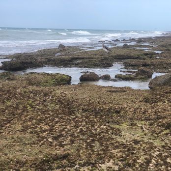 Playa de Oro RV Park - Low tide : Rocky Point - Campgrounds Near Me - Puerto Peñasco, SON Playa de Oro RV Park - Low tide : Rocky Point - Campgrounds Near Me - Puerto Peñasco, SON
