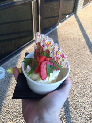 dipdipdip Ice Cream by null