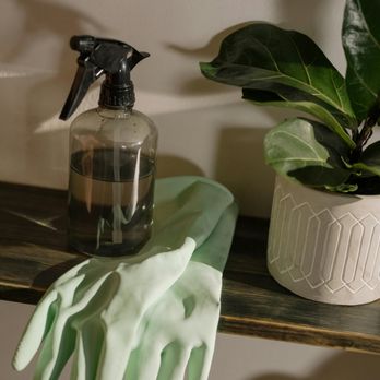 Blue Hope Cleaning - Home Cleaning Near Me - Kyle, Texas Blue Hope Cleaning - Home Cleaning Near Me - Kyle, Texas