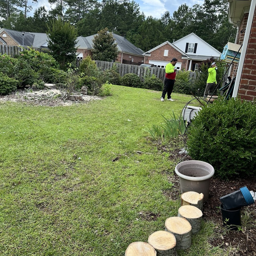 Lexington Pro Tree Service - Tree Services Near Me - Lexington, South Carolina Lexington Pro Tree Service - Tree Services Near Me - Lexington, South Carolina