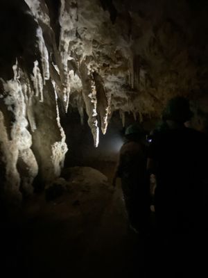 Parque Nacional de las Cavernas del Río Camuy by null