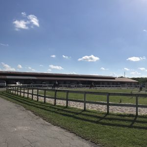 BLUE LAGOON FARM - MIAMI - 22 Photos - Wedding Planning - 14451 SW