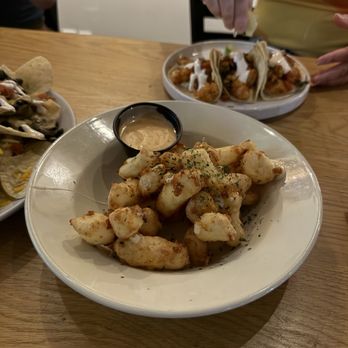 Hundred Mile Brewing - Cheese Curds were Incredible - Brewpubs Near Me - Tempe, Arizona
