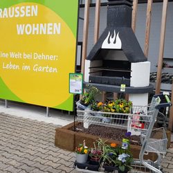Dehner - Frühblüher