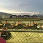 Airport Go-Karts