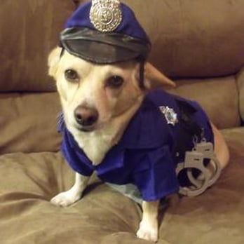 Poop Police - Pet Waste Removal Near Me Poop Police - Pet Waste Removal Near Me