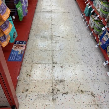 Petco - Floors covered in urine and dirt completely stained at this point - Pet Stores Near Me - Glendale, Arizona Petco - Floors covered in urine and dirt completely stained at this point - Pet Stores Near Me - Glendale, Arizona