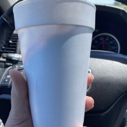 Quick Stop Drive In - This is a small cyclone and was almost more than I could eat, but I'm no quitter