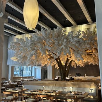 Janken - Japanese Near Me - Portland, Oregon