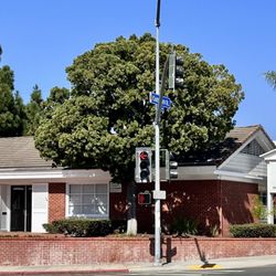 Ives Insurance - Sep 28, 2023