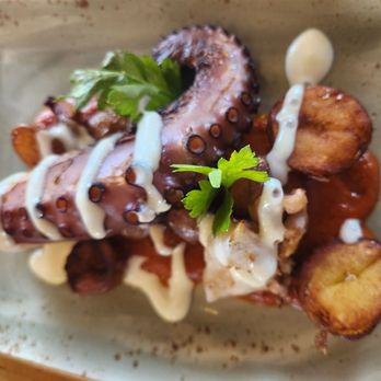 Bluewater Grill Seafood Restaurant & Market Carlsbad - undercooked octopus - Seafood Near Me - Carlsbad, California Bluewater Grill Seafood Restaurant & Market Carlsbad - undercooked octopus - Seafood Near Me - Carlsbad, California