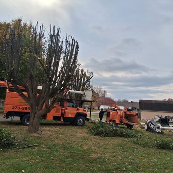 Shepherds Lawn and Tree Service - Tree Services Near Me Shepherds Lawn and Tree Service - Tree Services Near Me