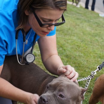 Douglas Animal Hospital - Dr. Douglas volunteering at "A Rotta Love" event. - Veterinarians Near Me - Osseo, Minnesota Douglas Animal Hospital - Dr. Douglas volunteering at "A Rotta Love" event. - Veterinarians Near Me - Osseo, Minnesota