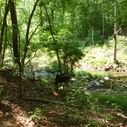 Small rapids at the bottom of one of the large hills. Small rapids at the bottom of one of the large hills.