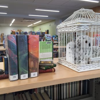 Thomas Memorial Library - Libraries Near Me - Cape Elizabeth, Maine Thomas Memorial Library - Libraries Near Me - Cape Elizabeth, Maine