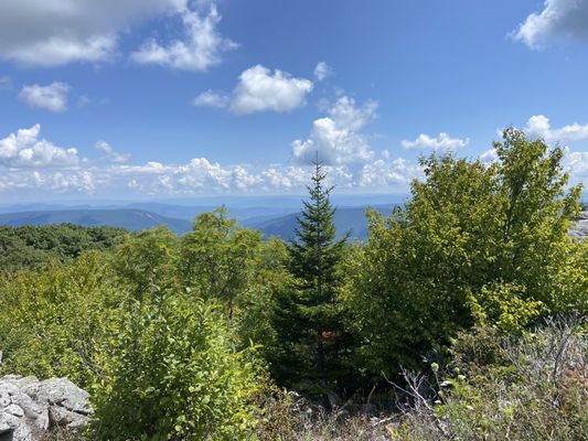 Dolly Sods Wilderness by null