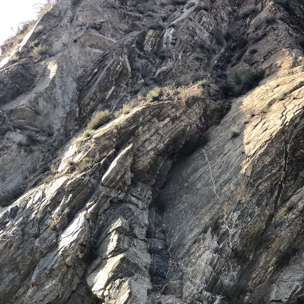 Angeles National Forest - Parks Near Me - Arcadia, California