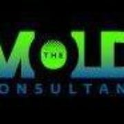 The Mold Consultant - mold inspector in Oklahoma City, OK