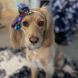 She's going to be 2 this year! She's going to be 2 this year!