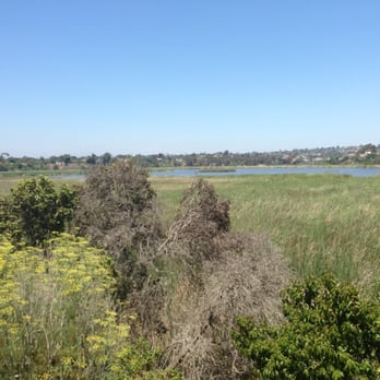 Maxton Brown Park - Parks Near Me - Carlsbad, California